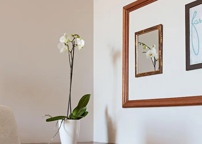 B The Guest Downtown 3* Porto