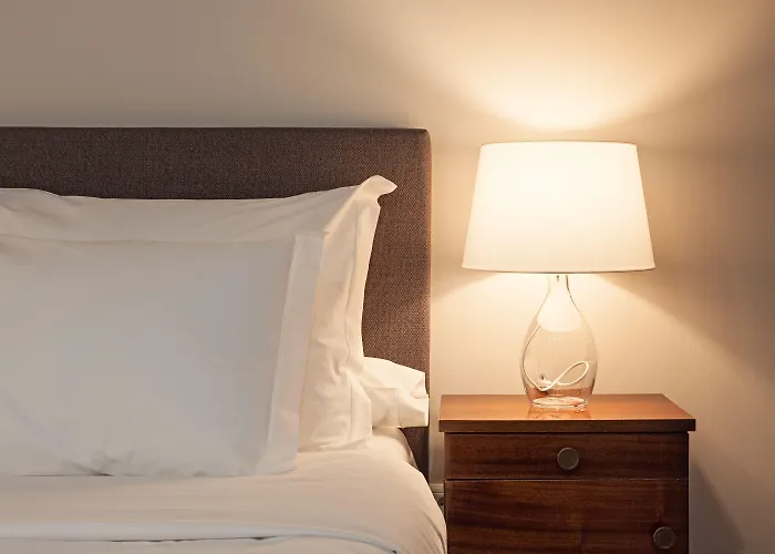 B ザ ゲスト ダウンタウン