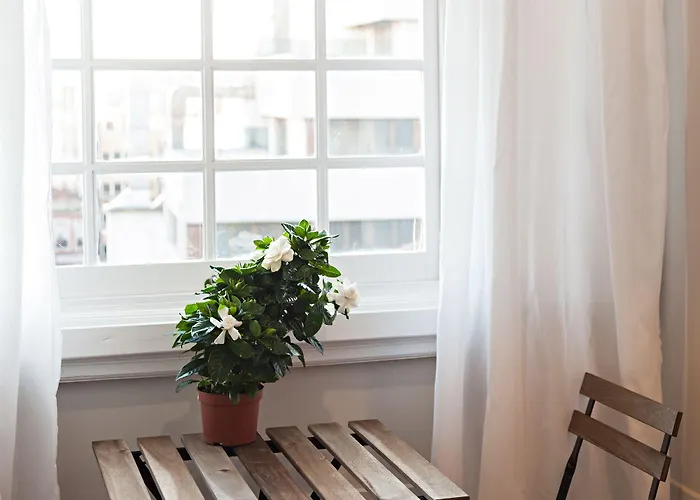 B The Guest Downtown Hotell Oporto