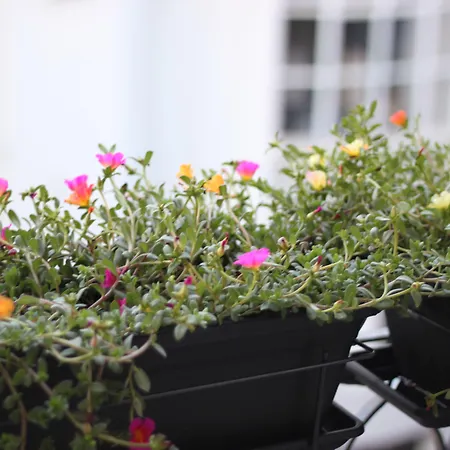 B闹市区客人酒店 3*