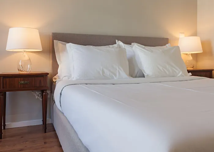 B The Guest Downtown 3*